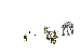 u30.gif